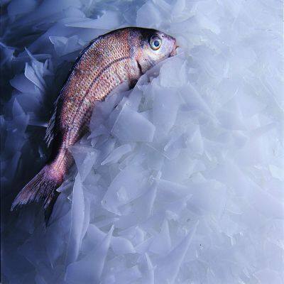 Linsky 15Ton Fresh Fish Ice Flake Making Machine