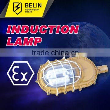 Electromagnetic induction lamp, energy saving explosion proof light