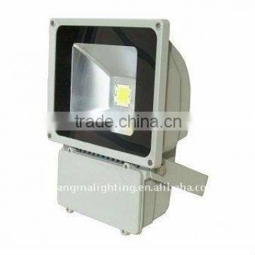 10-100W LED project light