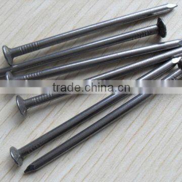 Galvanized Common Nails/Common Wire Nails/Poloshed Iron Nails