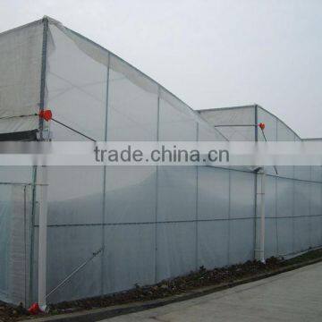 Zigzag Film Greenhouse Sale photo-2