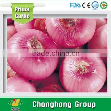 2015 new crop red onion