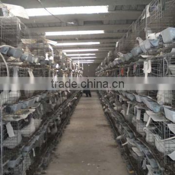 Breeding Pigeon Cage/wire mesh pigeon cage