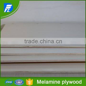 Plywood With Melamine HPL Finish photo-4