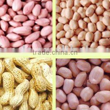 Chinese Groundnut Kernels 2013new crops