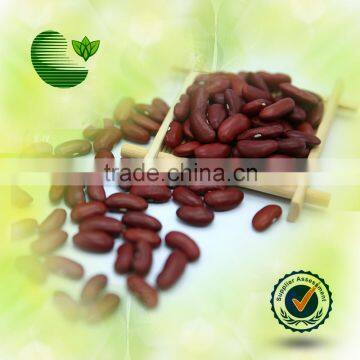 Dark Red Kidney Beans