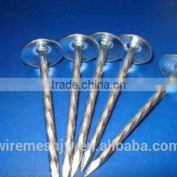 Stainless Steel Umbrella Head Roofing Nail With Washer