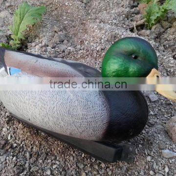 Green-head plastic duck hunting decoys