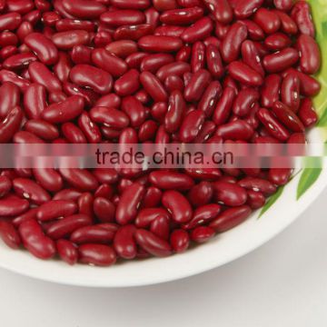 New crop Red kidney bean, british type