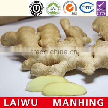 Hot sale fresh ginger high quality