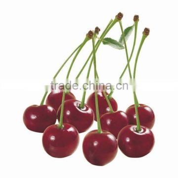 Georgia IQF Sour Cherry Frozen Fruit