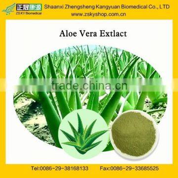 GMP Factory Supply Natural Aloin Aloe Vera Extract