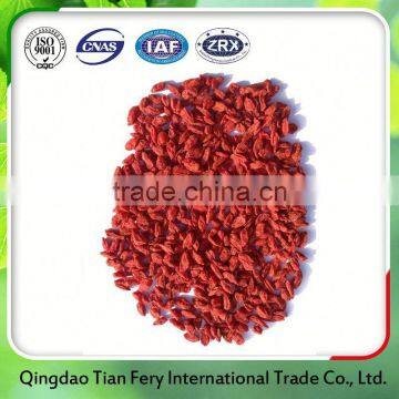 Fresh Goji Berries Export Laos