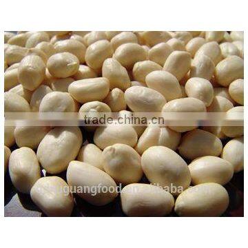 Chinese new crop blanched peanut kernel wholesale