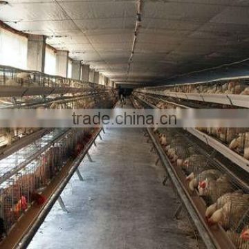 wire mesh chicken cage (galvanized, high quality, SGS facory with 27 years' experience)