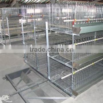 layer poultry cages