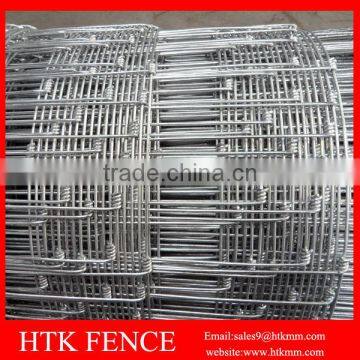 HTK Factory HOT SALE 10cm x 10 cm Small Animal Fence For Chicken photo-4