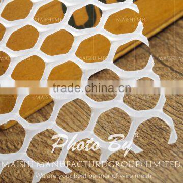 Plastic Extruded Net/HDPE Mesh photo-4