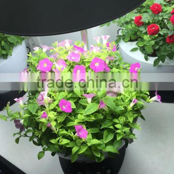 Hot sales hydroponic growing media leca ,Ceramic ball, expanded clay garden balls in Chian