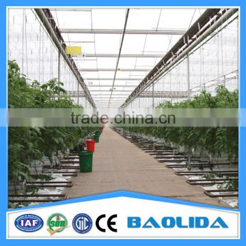 Factory Price poly carbonate greenhouse for tomato /cucumber