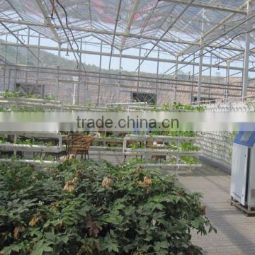 Tomato Greenhouses Structure with Hydroponic System