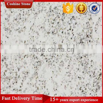 plateau snow granite white slab with black lines