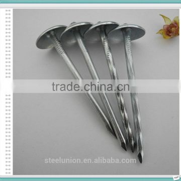 Roofing Nails Umbrella Head/Galvanized Roofing Nails Price/Roofing Nails