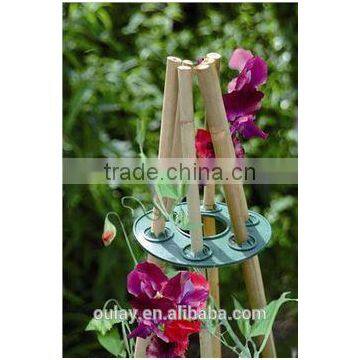 Natural Eco-friendly High Quality Bitter Bamboo Poles/Skewers For Climbing Plant photo-3