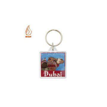 High Quality Plastic Custom Logo Key Chain