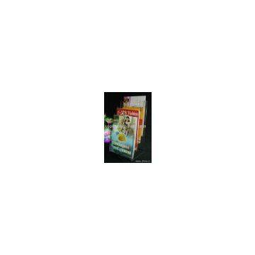 Acrylic Brochure Holder(TJ-056)