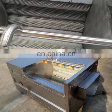 Potato Washer Sweet Potato Peeler Machinery Potato Washing and Peeling Machine photo-5