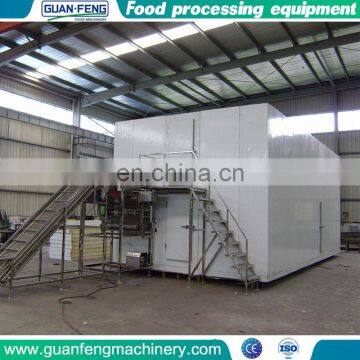 High Quality Cheap Custom Small Tunnel Instant Freezer photo-6