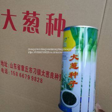 Wholesale of Origin of Zhangqiu Green Onion Seeds photo-3