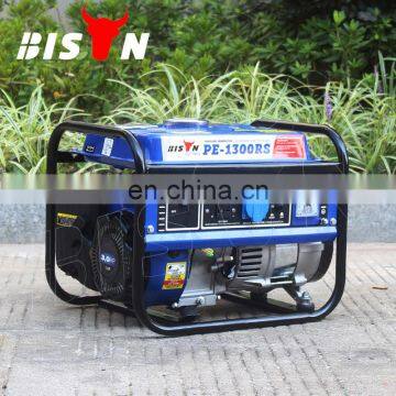 BISON(CHINA) Generador Electrico 1000W Generator Silent 1Kw Price