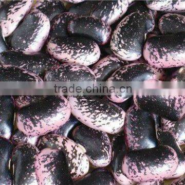 Large black speckled kidney beans