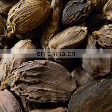 Black Cardamom From Vietnam