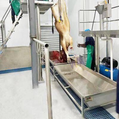 WFA Livestock Abattoir Cow Slaughtering Equipment Blood Trough for Slaughterhouse Machinery photo-2