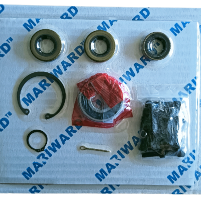 UGA Governor Overhaul Kits Suit for WOODWARD