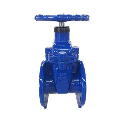 DIN F4 Resilient Gate Valve with EPDM Seat & Graphite Packing Compatible with DIN 3352 Standard