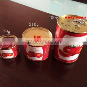 superior quality ketchup/tomato paste /tomato puree export to Africa