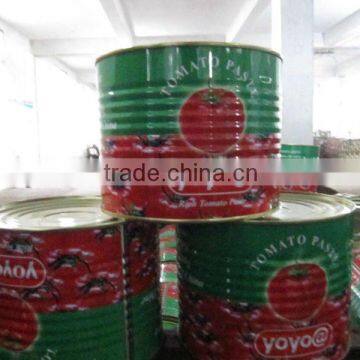 Tomato paste exporter/factory/manufacture in canned 3kg