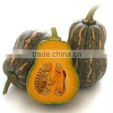 FRESH PUMPKIN GOOD TASTY VERY COMPETITIVE PRICE!!!