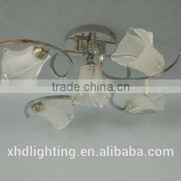XHD Lighting Modern Delicate Ceiling Lamp for Indoor Decoration photo-2