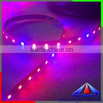 RGB 60leds/m indoor led plant grow light strip,Plant growing Lighting waterproof ip66