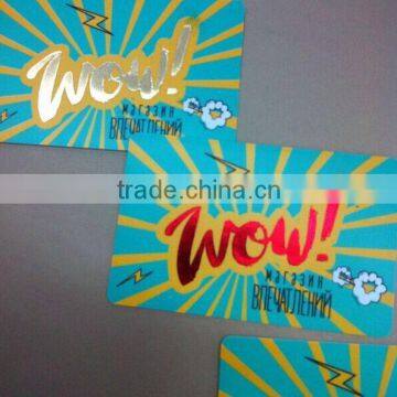 Cheap colorful pvc club membership card