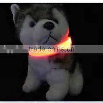 led flashing dog lead