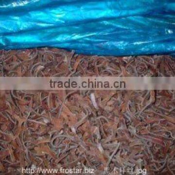 frozen black fungus strips