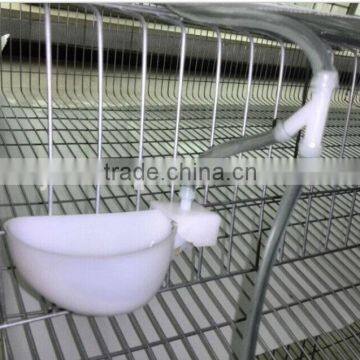 hot dipped galvanized wire mesh quail cage with automatic drinking system