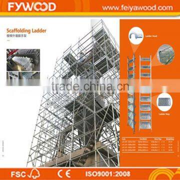 best price cuplock scaffolding ladder sales