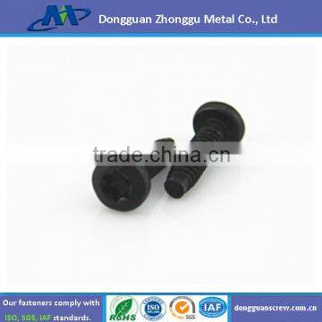 Carbon Steel Torx Pan Head Machine Screw